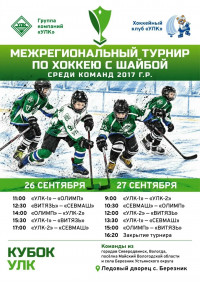 Межрегиональный турнир по хоккею с шайбой среди команд 2017 г.